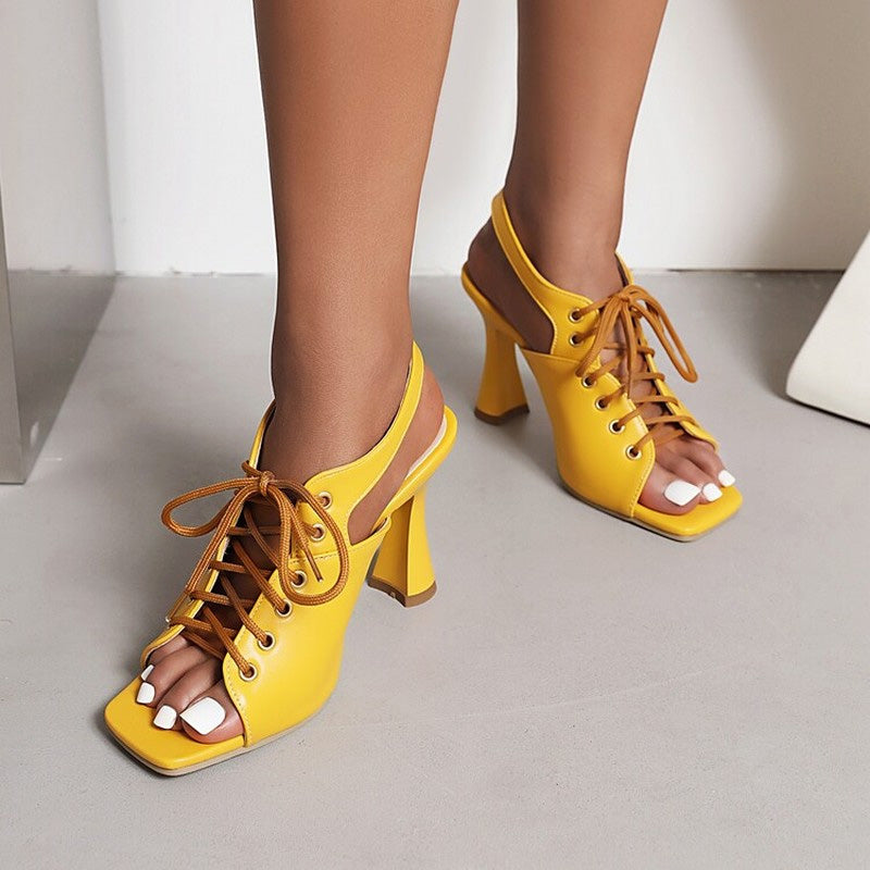 The Hollywood Heels