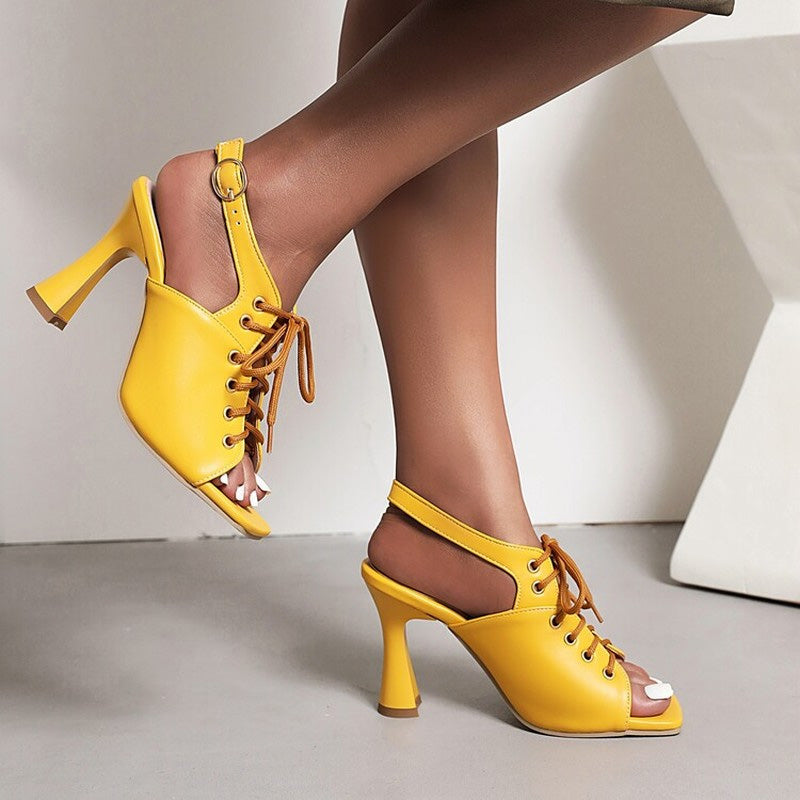 The Hollywood Heels